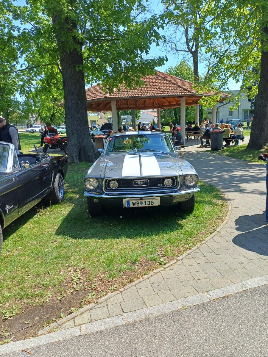20250427-OT-Werner-16
