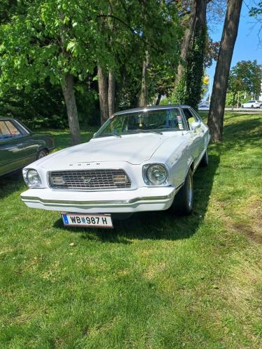 20250427-OT-Werner-10