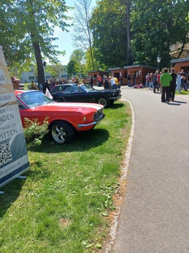 20250427-OT-Werner-14