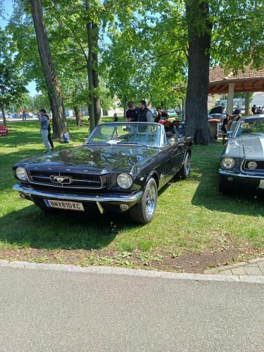 20250427-OT-Werner-15