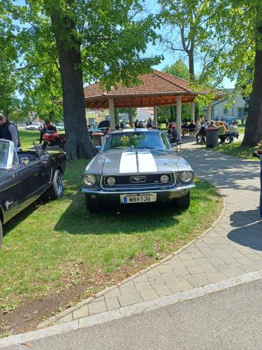 20250427-OT-Werner-16